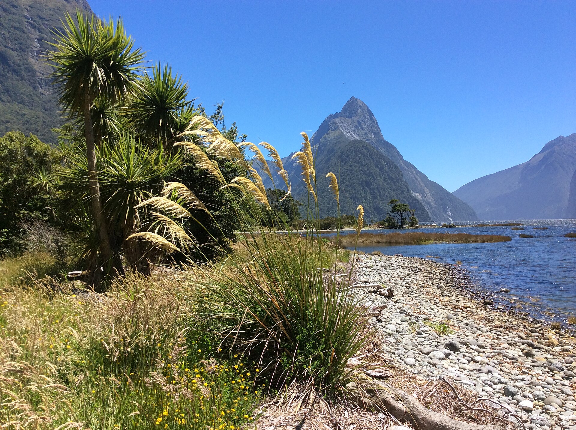 Mitre Peak rising above the still water of Milford Sound